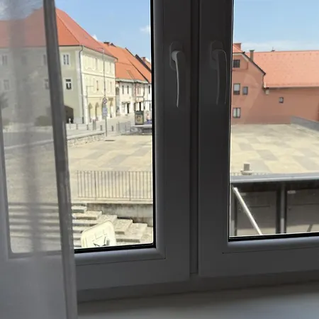 Gostilna In Apartmaji Zlati Lev -
