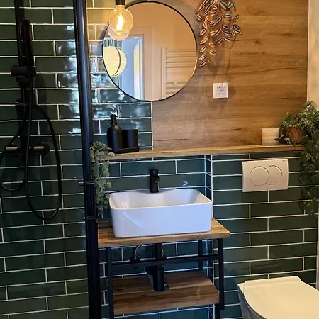 Gostilna In Apartmaji Zlati Lev - *