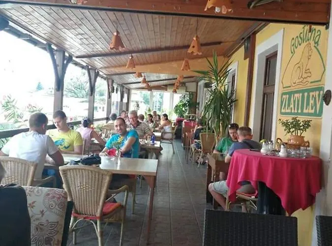 Gostilna In Apartmaji Zlati Lev - Appartement